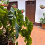 Casa Posada Don Chepe